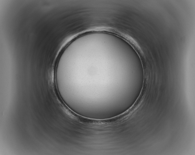 X0000116061420200911271233