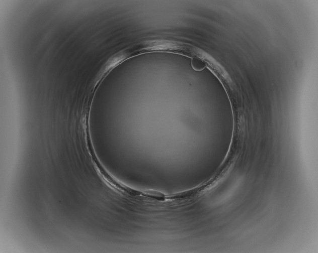 X0000116061425200911271233