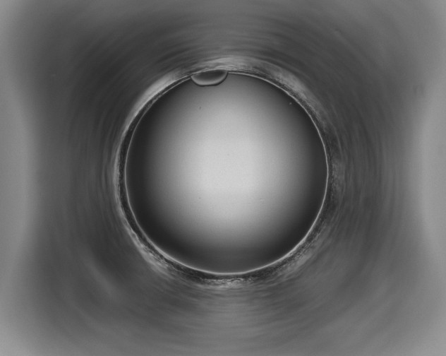 X0000116061426200911271233
