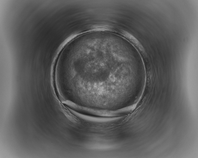 X0000116061427200911271233
