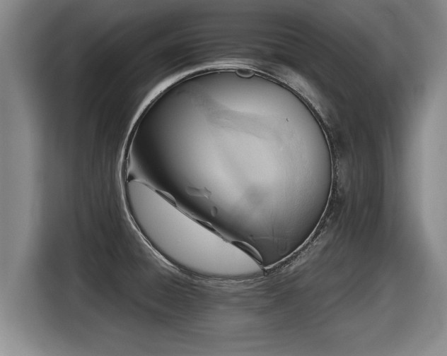 X0000116061428200911271233