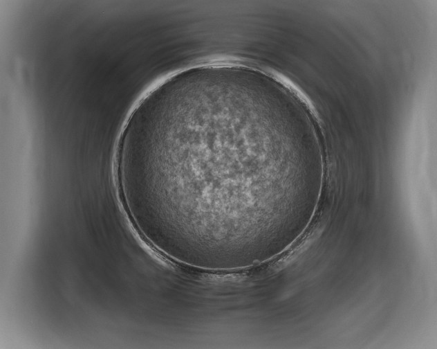 X0000116061429200911271233