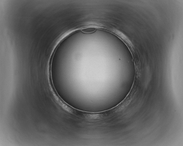 X0000116061431200911271233