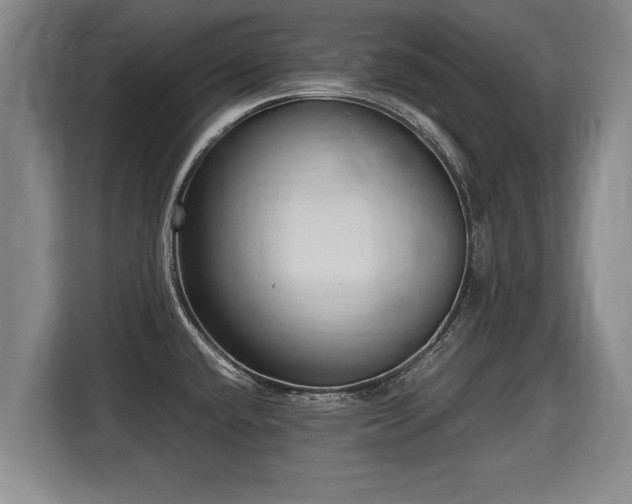 X0000116061432200911271233