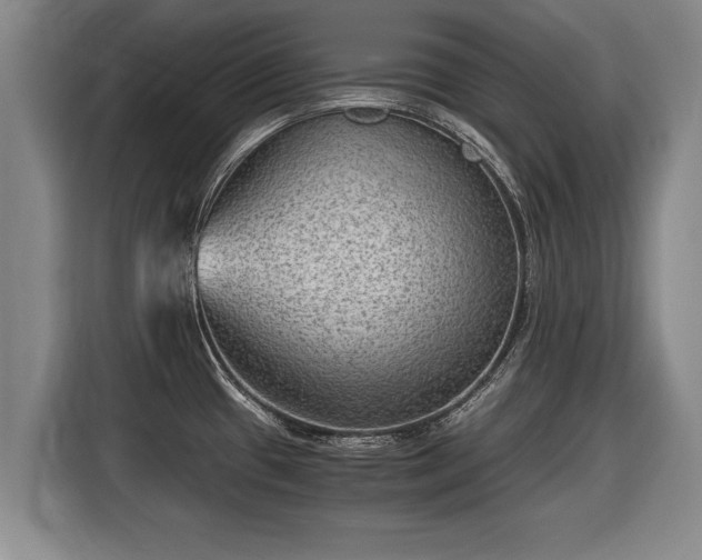 X0000116061433200911271233