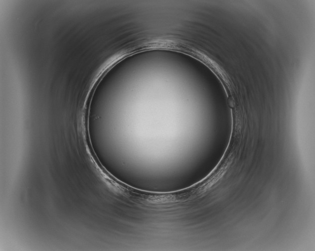 X0000116061434200911271233