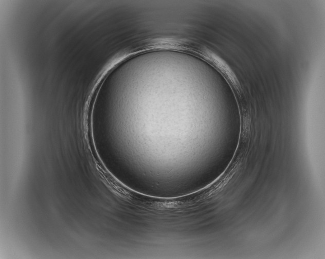 X0000116061435200911271233