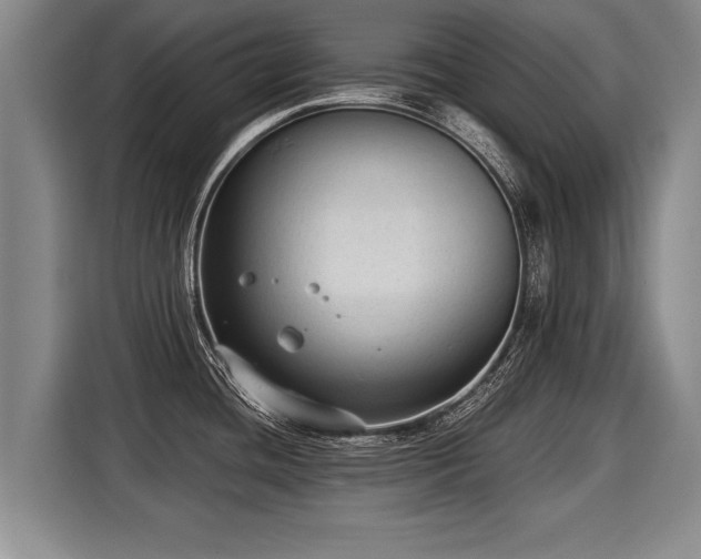 X0000116061436200911271233
