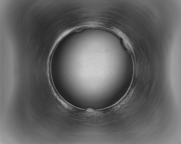 X0000116061437200911271233
