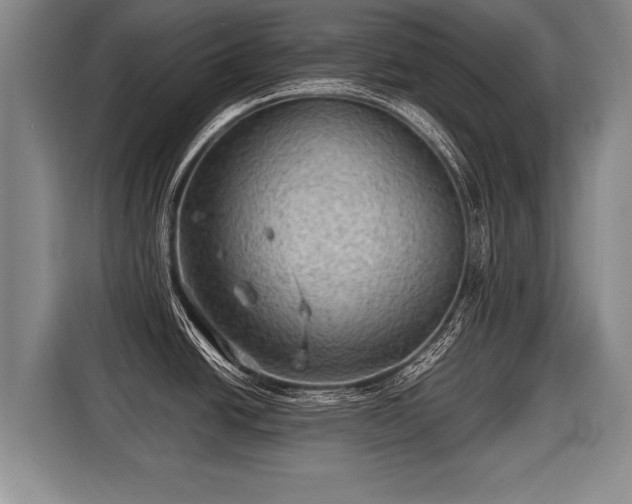 X0000116061438200911271233