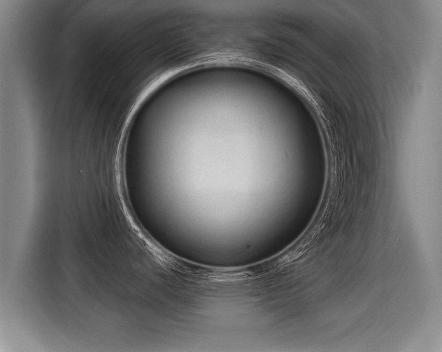 X0000116061440200911271233