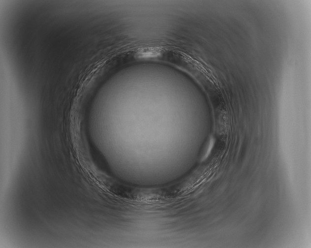 X0000116061441200911271233