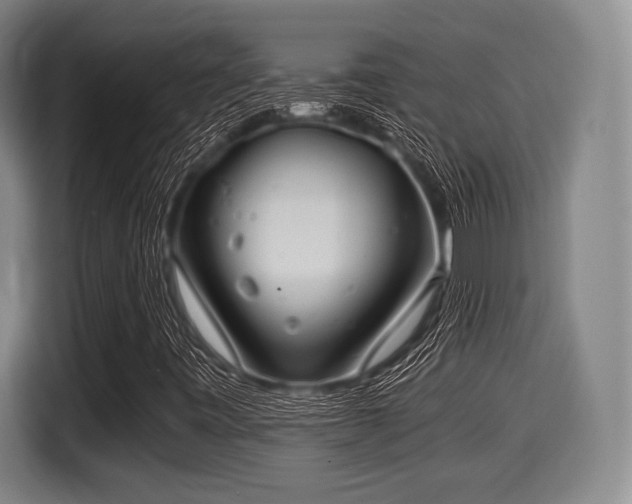 X0000116061443200911271233