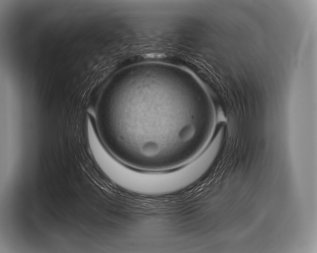 X0000116061444200911271233