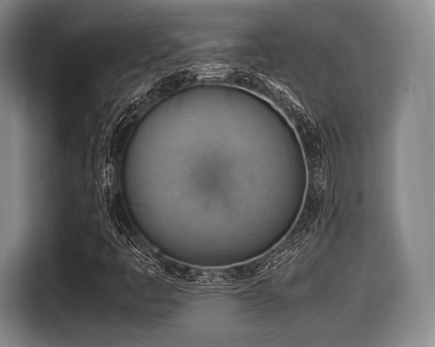 X0000116061445200911271233