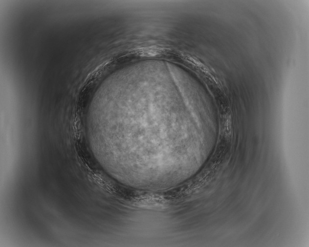 X0000116061446200911271233