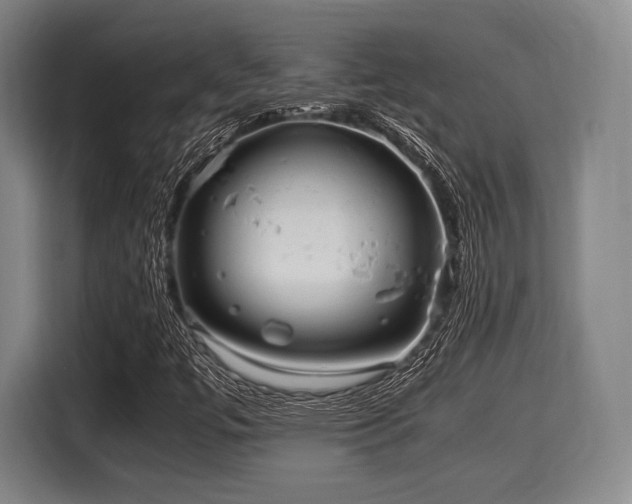 X0000116061447200911271233