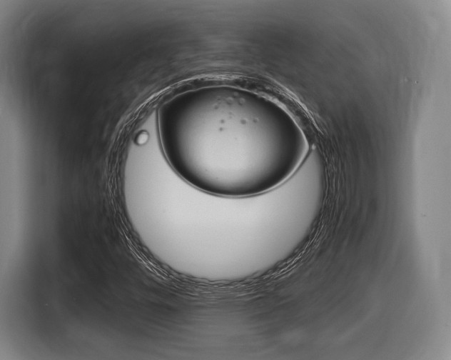 X0000116061448200911271233