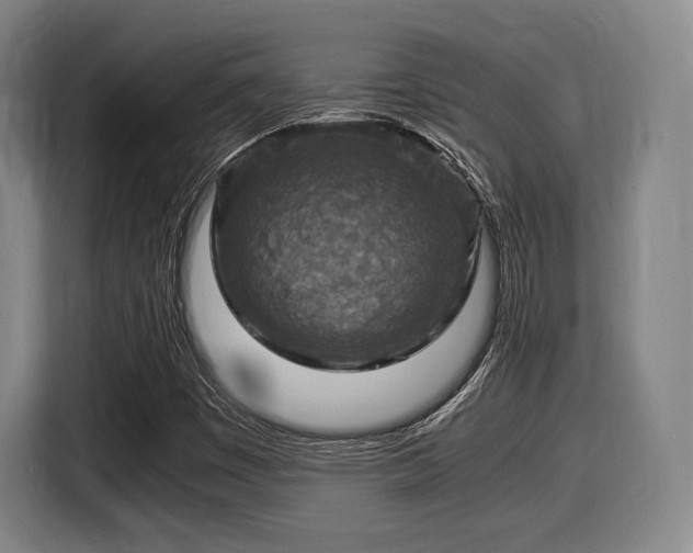 X0000116061449200911271233