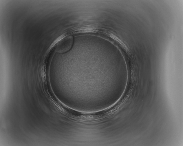 X0000116061450200911271233