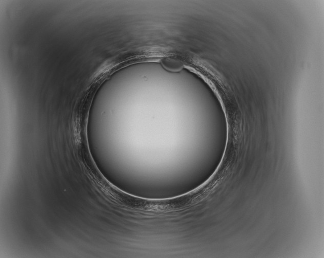 X0000116061451200911271233