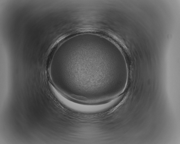 X0000116061453200911271233
