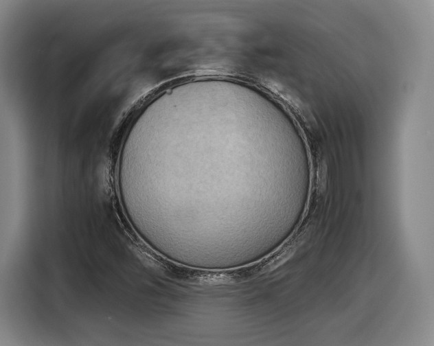 X0000116061454200911271233