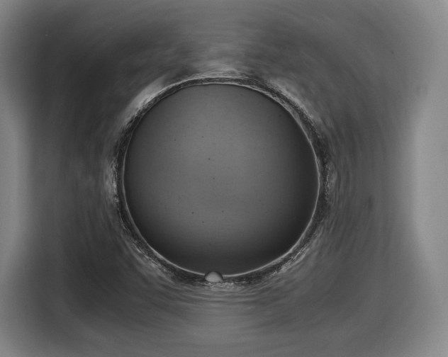 X0000116061455200911271233