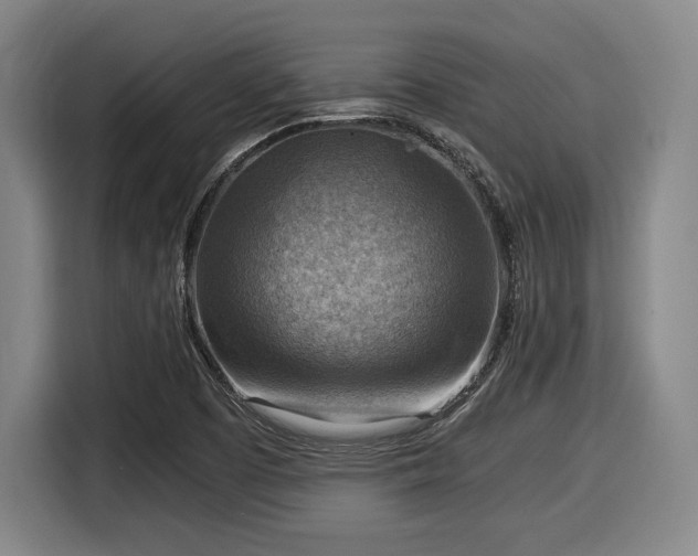 X0000116061457200911271233