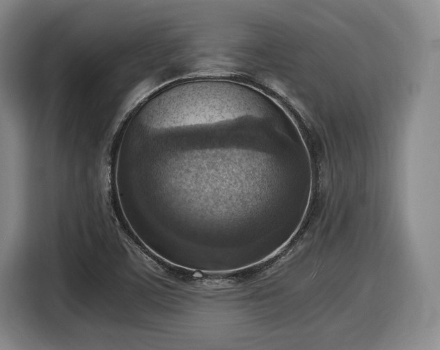X0000116061459200911271233