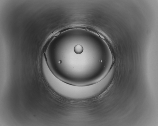 X0000116061461200911271233