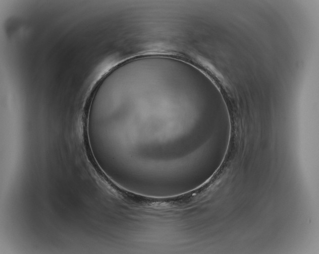 X0000116061463200911271232