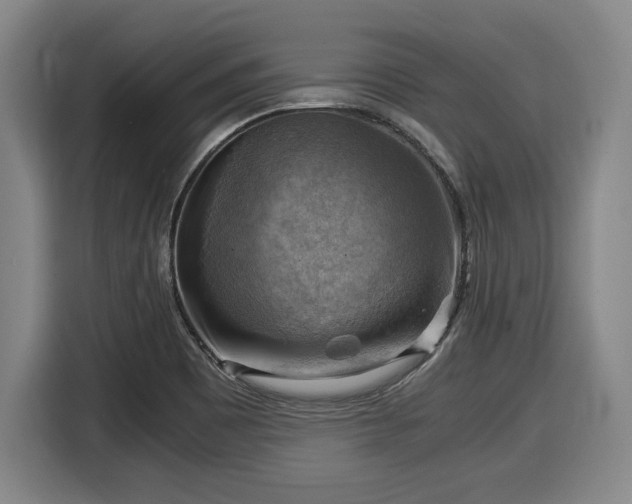 X0000116061465200911271232