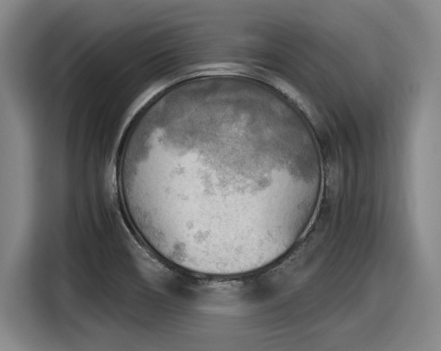 X0000116061466200911271232