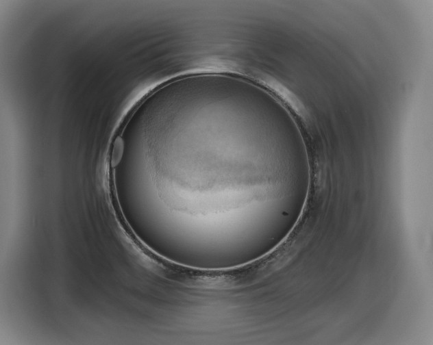 X0000116061468200911271232