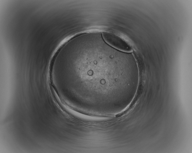 X0000116061469200911271232