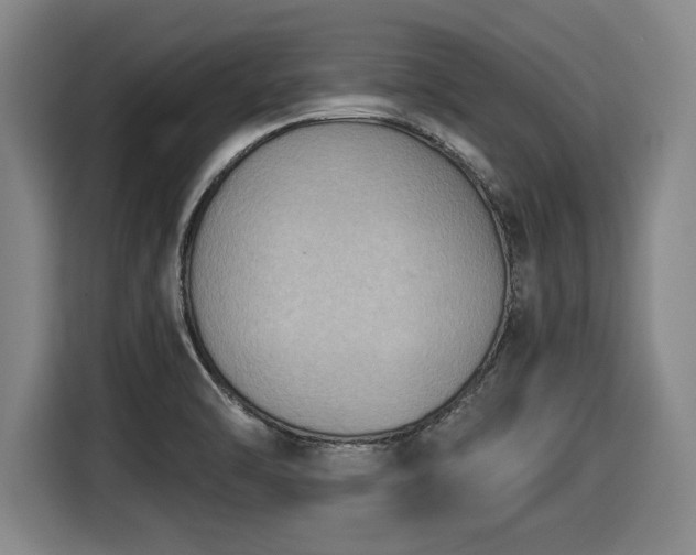 X0000116061470200911271232