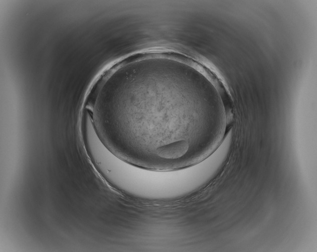 X0000116061472200911271232