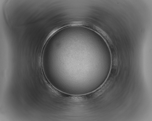 X0000116061473200911271232