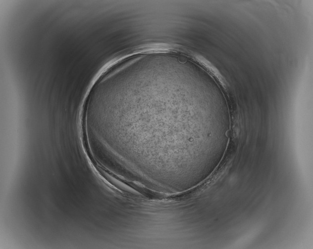 X0000116061475200911271232