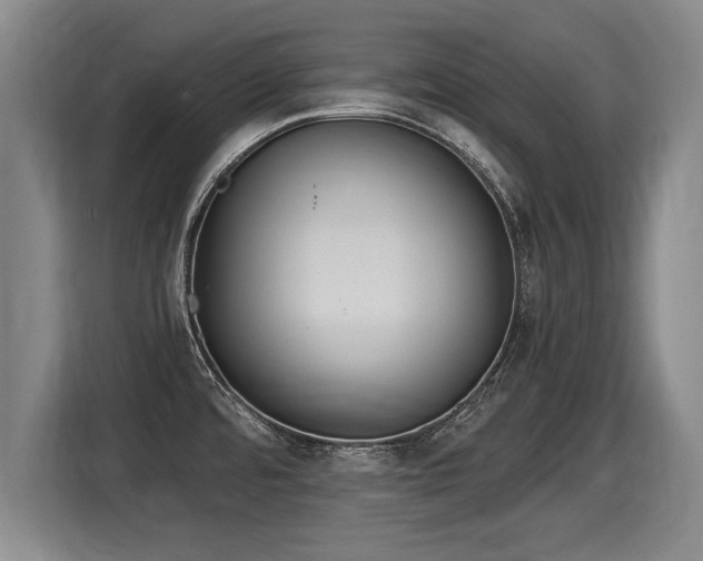 X0000116061480200911271232