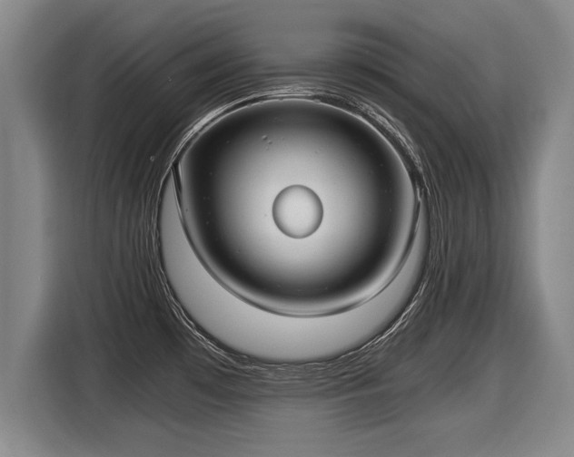 X0000116061481200911271232