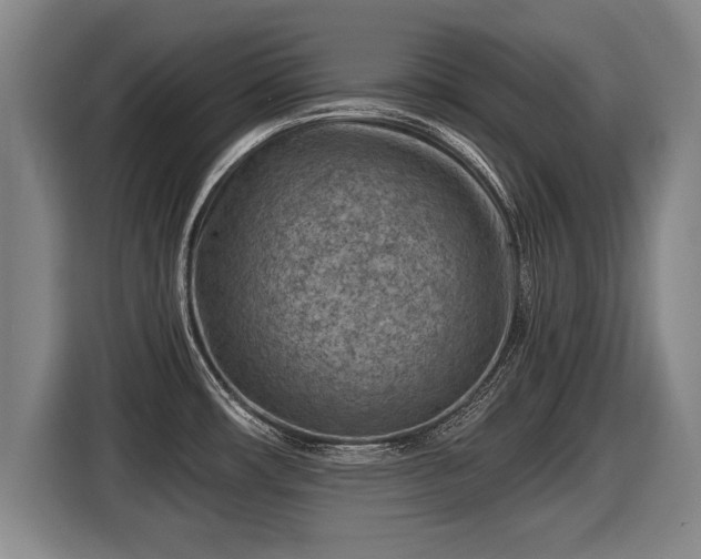 X0000116061482200911271232