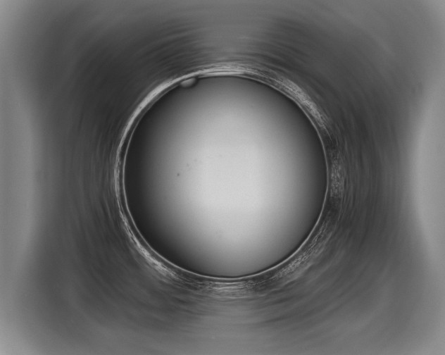 X0000116061484200911271232