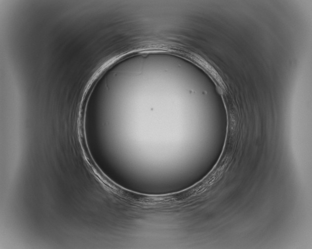 X0000116061485200911271232