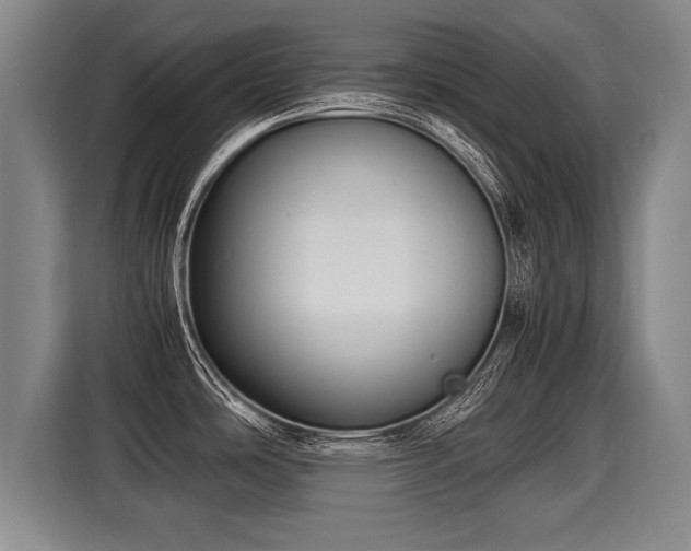 X0000116061486200911271232