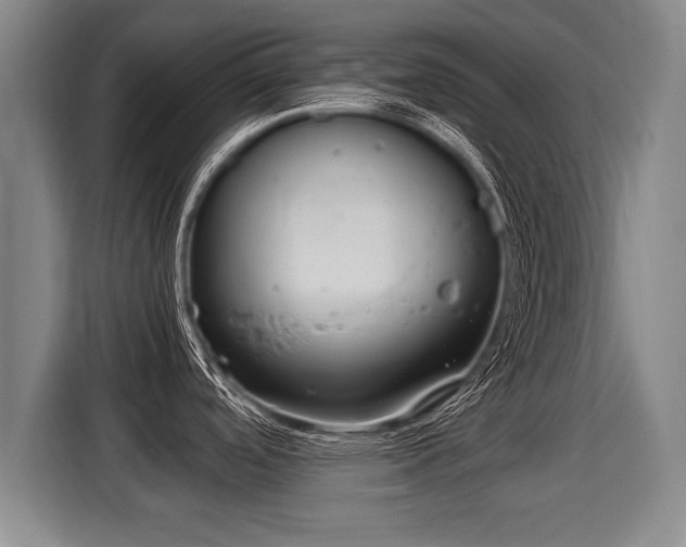 X0000116061488200911271232