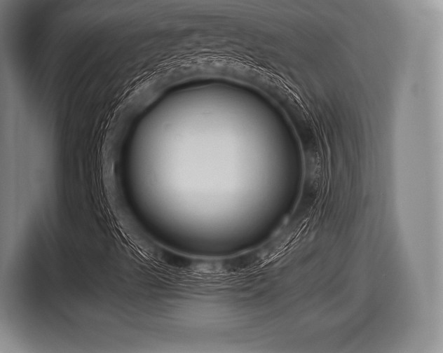 X0000116061489200911271232