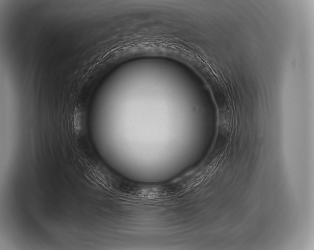 X0000116061490200911271232