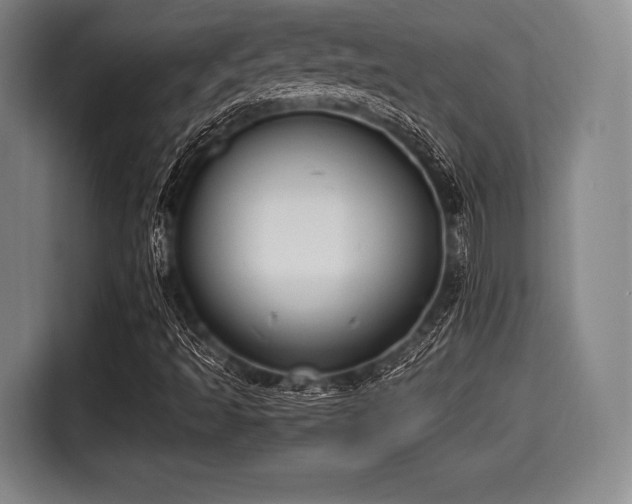 X0000116061493200911271232